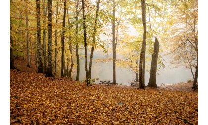 Bolu Yedigöller fotoğraf gezimiz