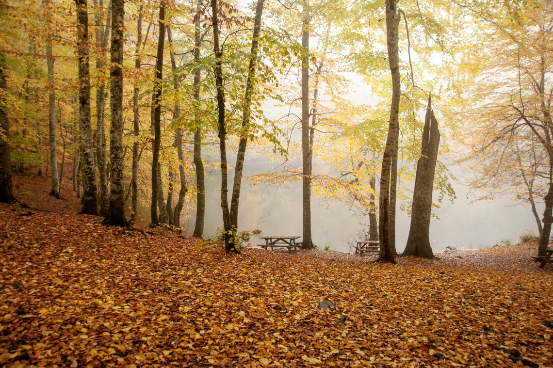 Bolu Yedigöller fotoğraf gezimiz